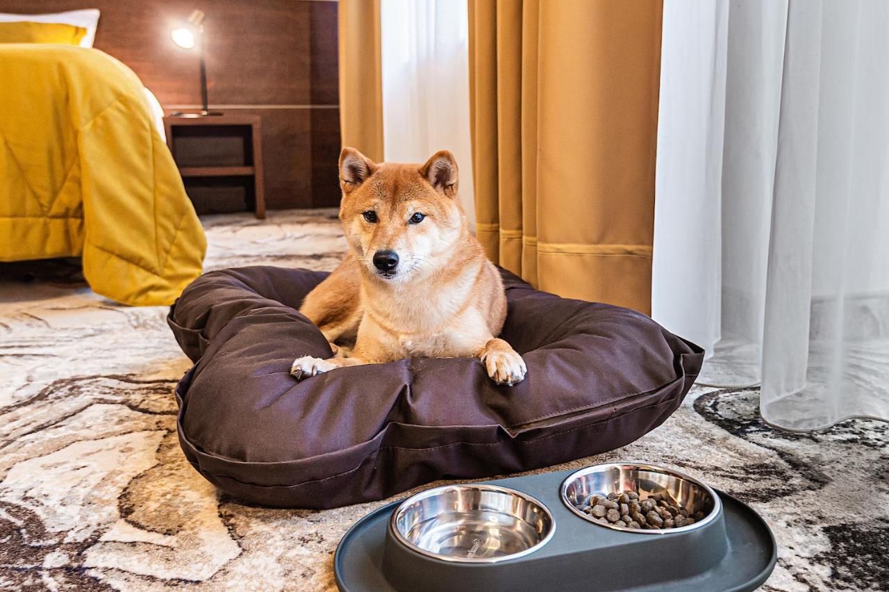 Palangos Vetra Hotel Palanga Kültér fotó